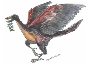 Microraptor