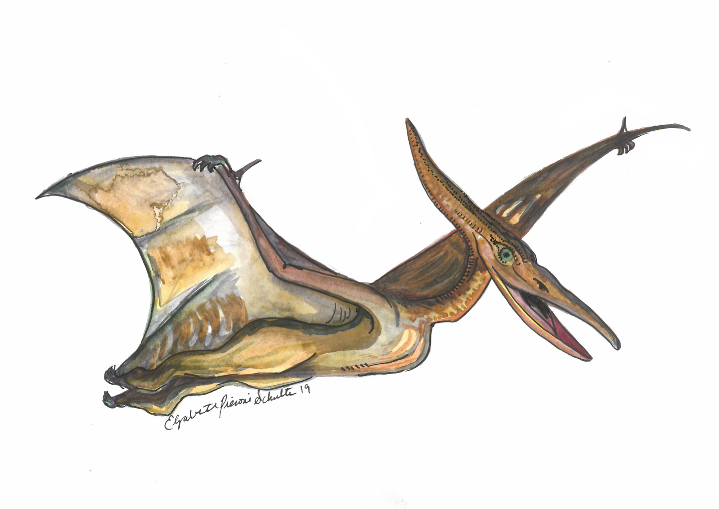 Pteranodon Card
