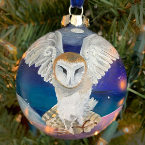 Barn Owl #2