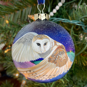 Barn Owl #1